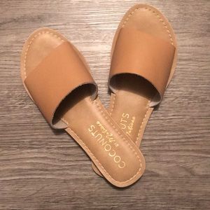 Coconuts by Matisse Cabana slides